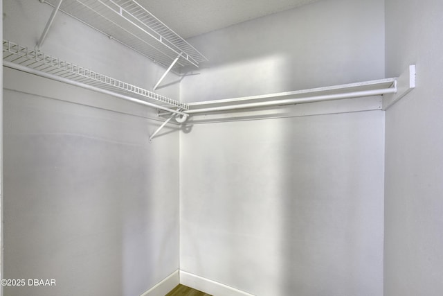 walk in closet featuring wood finished floors