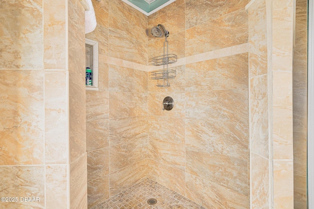 46 Oceanview Ave, Ponce Inlet, FL 32127 - bathroom view of tiled shower