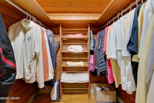 46 Oceanview Ave, Ponce Inlet, FL 32127 - spacious closet with wood finished floors