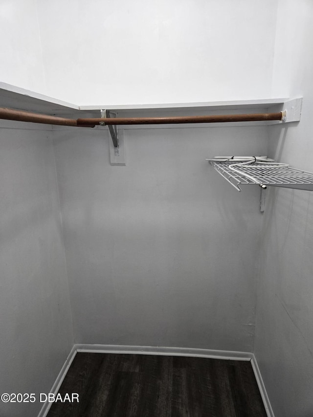 walk in closet featuring dark wood-type flooring