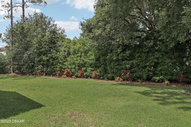 113 Bridgehaven Dr, Palm Coast, FL 32137 - view of grassy yard