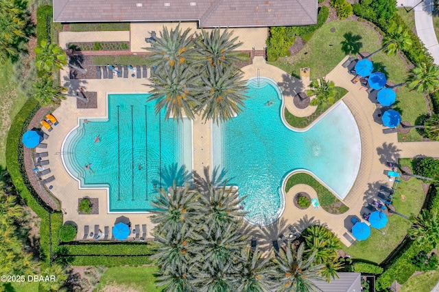 1305 Dovercourt Ln, Ormond Beach, FL 32174 - aerial view of a pool area