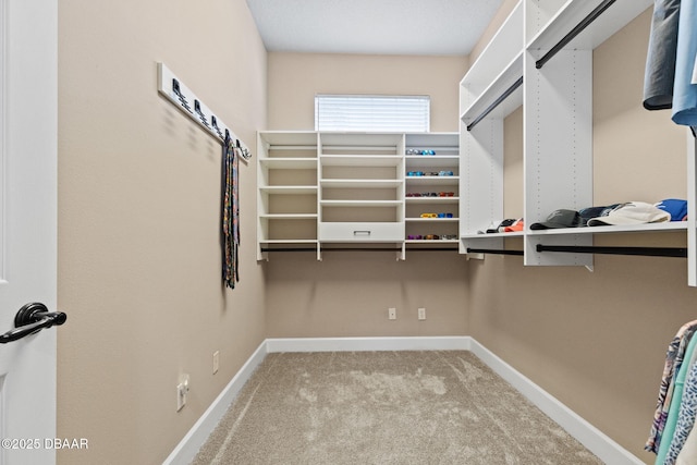1305 Dovercourt Ln, Ormond Beach, FL 32174 - walk in closet featuring carpet flooring