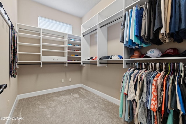 1305 Dovercourt Ln, Ormond Beach, FL 32174 - spacious closet featuring carpet floors
