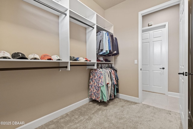 1305 Dovercourt Ln, Ormond Beach, FL 32174 - walk in closet with carpet floors
