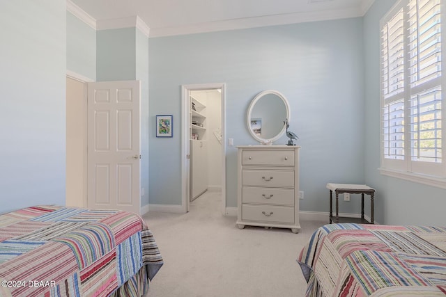 carpeted bedroom with a spacious closet, a closet, and ornamental molding