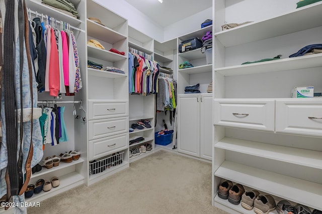 spacious closet featuring light colored carpet