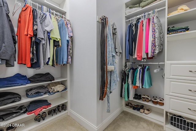 walk in closet with light colored carpet