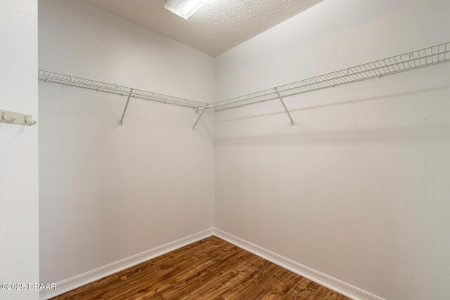 19 Meadow Ridge Vw, Ormond Beach, FL 32174 - walk in closet with dark wood-style flooring