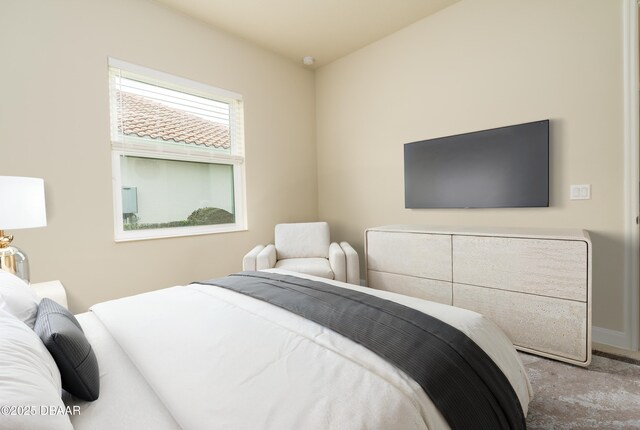 150 Portofino Blvd, New Smyrna Beach, FL 32168 - view of carpeted bedroom