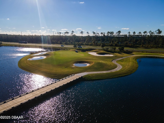 150 Portofino Blvd, New Smyrna Beach, FL 32168 - view of property's community with a water view and golf course view