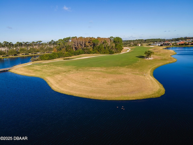 150 Portofino Blvd, New Smyrna Beach, FL 32168 - aerial view of a local golf course and a nearby body of water