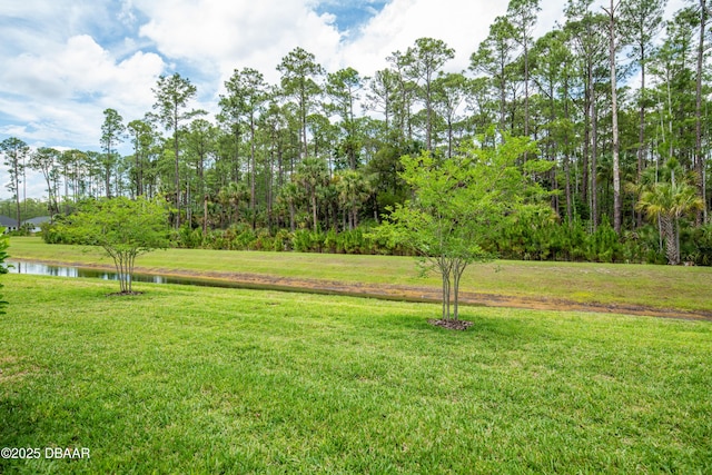 76 Longridge Ln, Ormond Beach, FL 32174 - view of green lawn with a water view