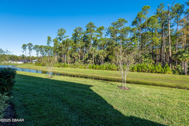 view of yard with a water view