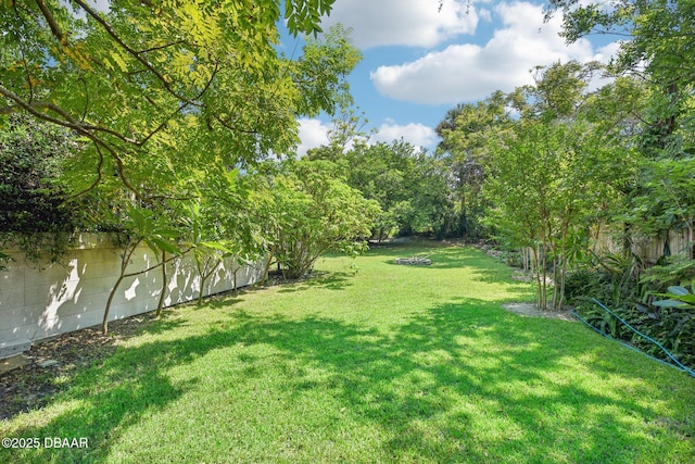 view of yard with a fenced backyard