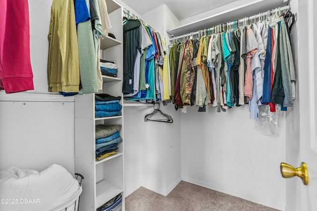 1197 Southfork Ct, Port Orange, FL 32129 - walk in closet with carpet flooring