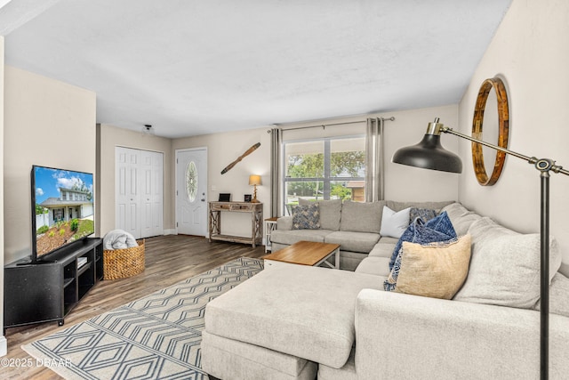 1197 Southfork Ct, Port Orange, FL 32129 - living room with wood finished floors