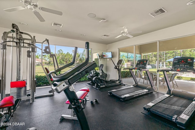 exercise room featuring ceiling fan and plenty of natural light