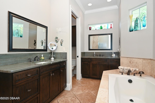 bathroom featuring toilet, vanity, a wealth of natural light, and a bath