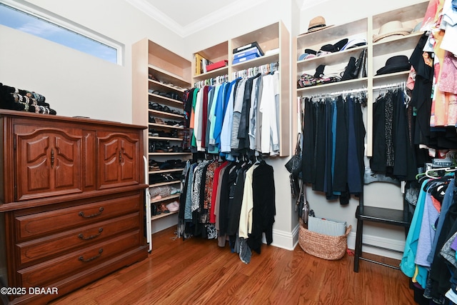 spacious closet featuring wood-type flooring