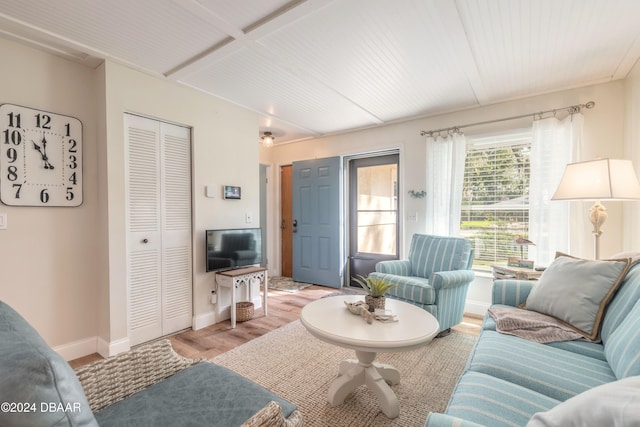 living room with light hardwood / wood-style floors