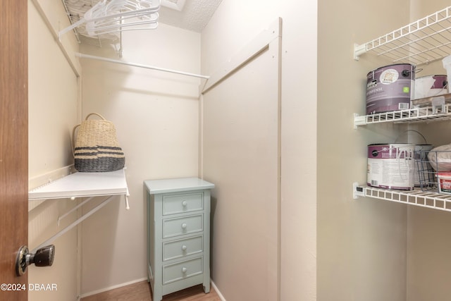 spacious closet featuring light hardwood / wood-style flooring