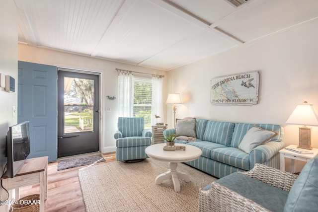 living room with hardwood / wood-style flooring