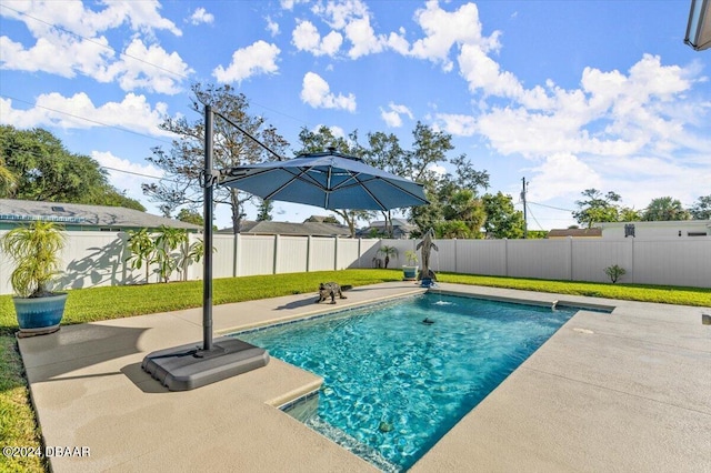 view of pool featuring a yard and a patio