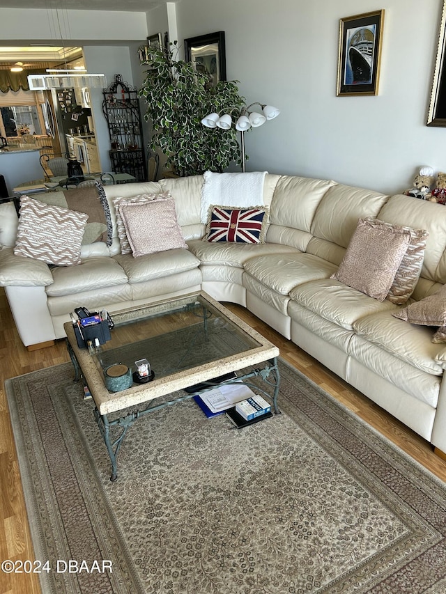 living room with hardwood / wood-style flooring