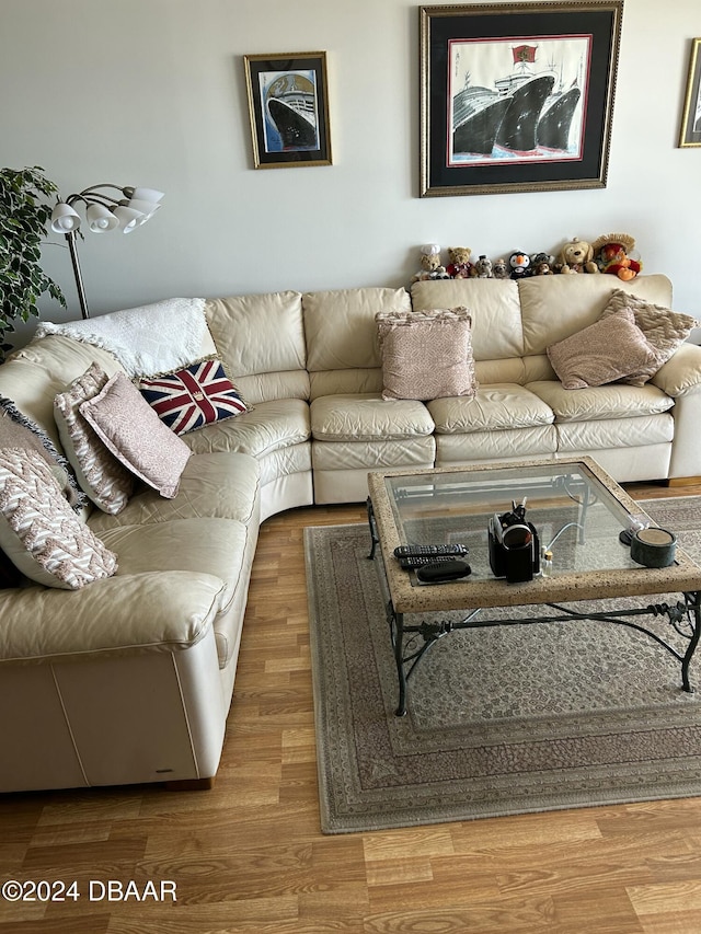 living room with hardwood / wood-style flooring