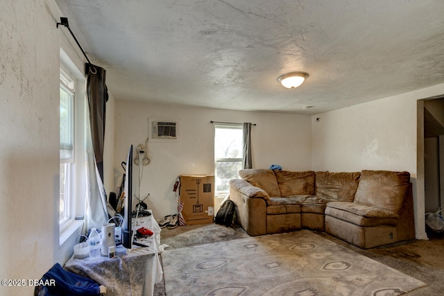 421 N Peninsula Dr, Daytona Beach, FL 32118 - living area with a wall unit AC and carpet floors