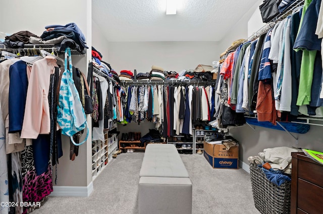 walk in closet with light colored carpet