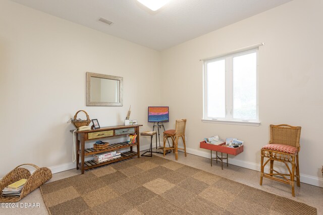 living area featuring carpet flooring