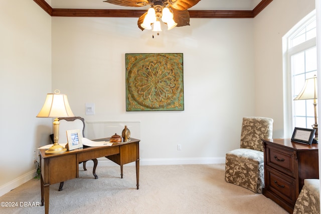 carpeted home office with ceiling fan and crown molding