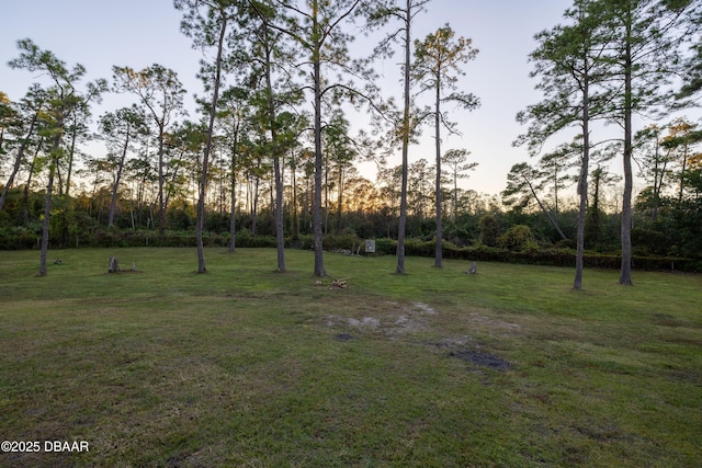 view of yard at dusk