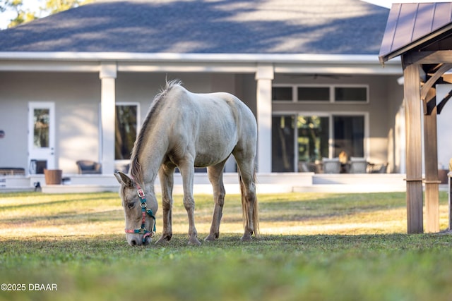 view of horse barn