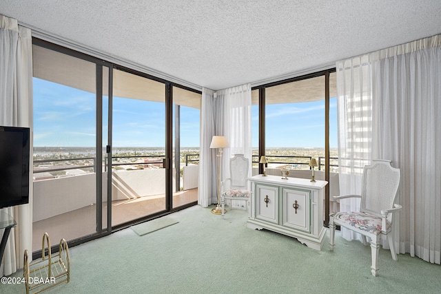 living area featuring a wealth of natural light, light carpet, and floor to ceiling windows