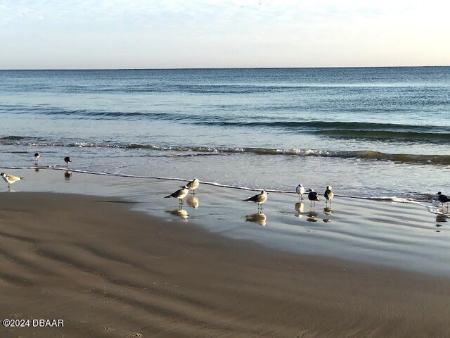 2828 N Atlantic Ave Unit 1205, Daytona Beach, FL 32118 - water view
