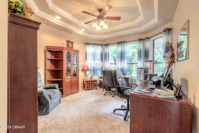 carpeted home office featuring ceiling fan, crown molding, and a tray ceiling