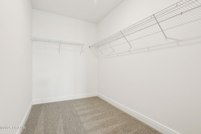 288 Links Terrace Blvd, Daytona Beach, FL 32124 - spacious closet with carpet