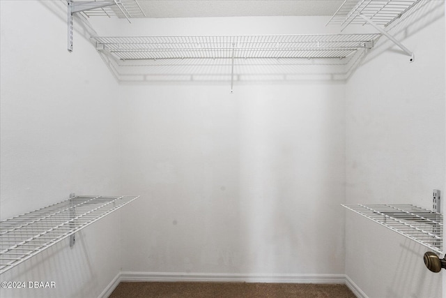 walk in closet featuring carpet flooring