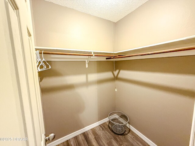 1600 Big Tree Rd Unit B4, Daytona Beach, FL 32119 - photo 16