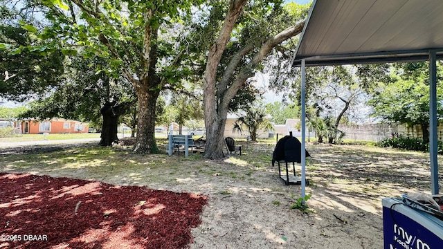1228 Leon Ln, Daytona Beach, FL 32117 - view of yard