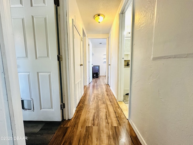 1228 Leon Ln, Daytona Beach, FL 32117 - hallway with wood finished floors, baseboards, a textured wall, and a textured ceiling
