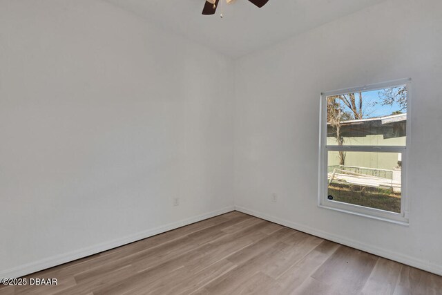 1740 Palm Rd, Holly Hill, FL 32174 - photo 26