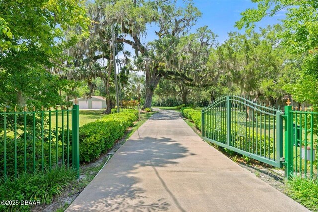 1010 Big Tree Rd, Daytona Beach, FL 32119 - photo 6