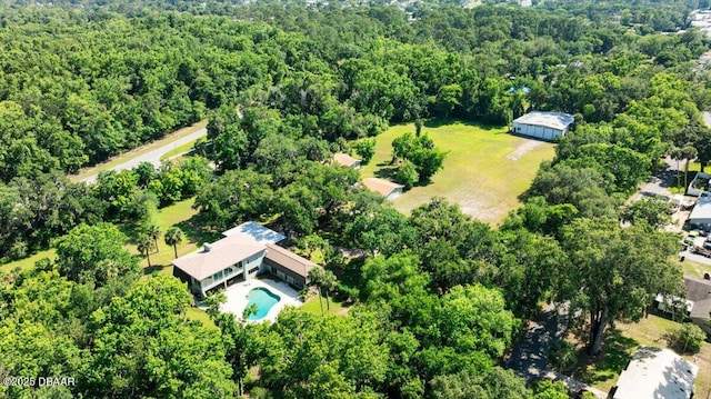 1010 Big Tree Rd, Daytona Beach, FL 32119 - photo 67