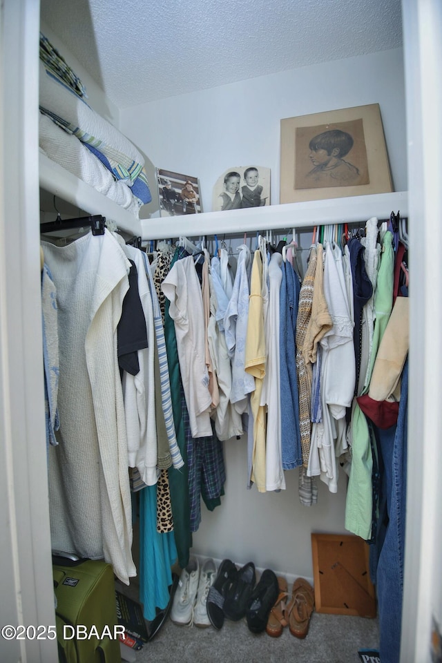 spacious closet with carpet floors