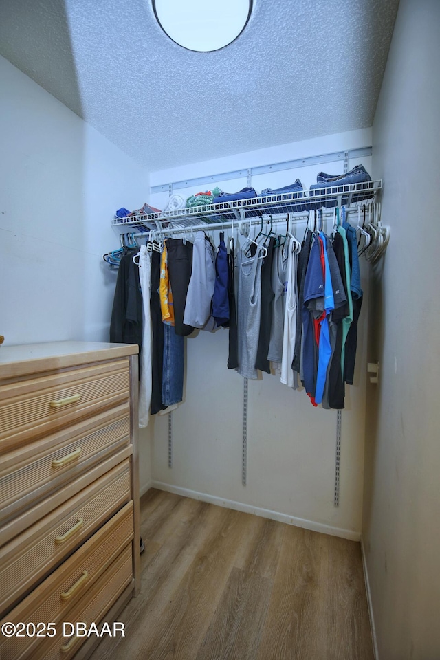 walk in closet featuring light hardwood / wood-style floors