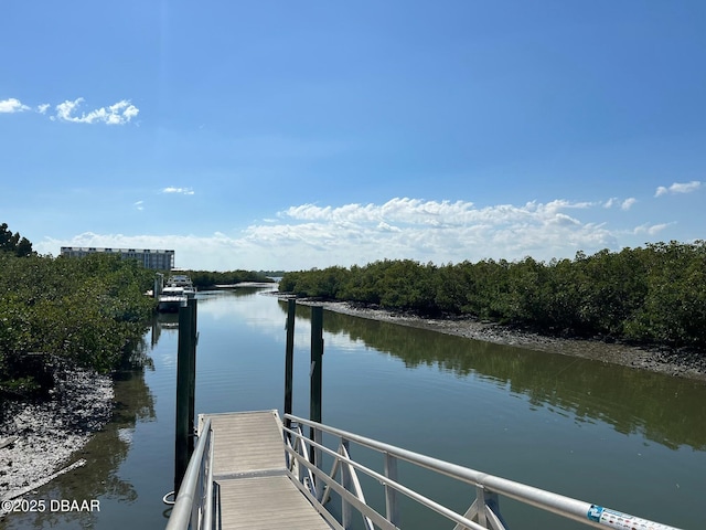 dock area with a water view